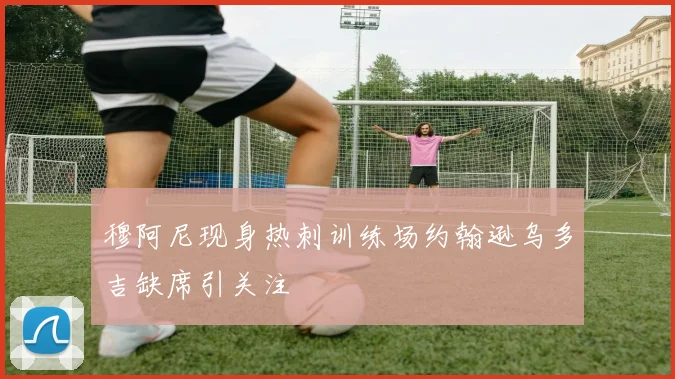 穆阿尼现身热刺训练场约翰逊乌多吉缺席引关注